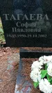 Захоронение ID 1347544