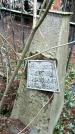 Захоронение ID 1347547