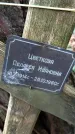 Захоронение ID 1347566