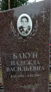 Захоронение ID 1347596