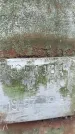 Захоронение ID 1347623