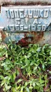 Захоронение ID 1347652