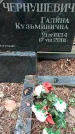 Захоронение ID 1347761