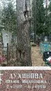 Захоронение ID 1348335