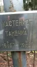 Захоронение ID 1348444