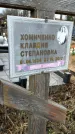 Захоронение ID 1348646