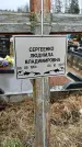 Захоронение ID 1348657