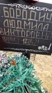 Захоронение ID 1349009