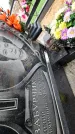 Захоронение ID 1349129