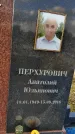 Захоронение ID 1349277