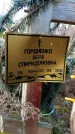 Захоронение ID 1349325