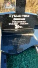 Захоронение ID 1349336