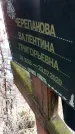 Захоронение ID 1349388