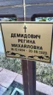 Захоронение ID 1349456