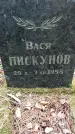 Захоронение ID 1349884