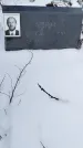 Захоронение ID 1349911