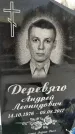 Захоронение ID 1349955