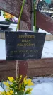 Захоронение ID 1350096