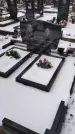 Захоронение ID 1350137