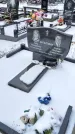 Захоронение ID 1350264