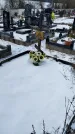 Захоронение ID 1350279