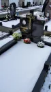 Захоронение ID 1350288