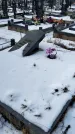Захоронение ID 1350331