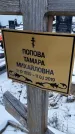 Захоронение ID 1350351