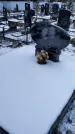 Захоронение ID 1350418