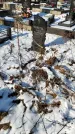 Захоронение ID 1350578