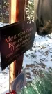 Захоронение ID 1350719