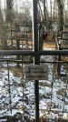 Захоронение ID 1350759