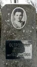 Захоронение ID 1351160
