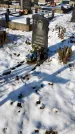 Захоронение ID 1351196