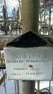 Захоронение ID 1351242