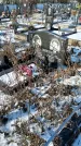 Захоронение ID 1351291