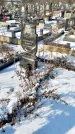 Захоронение ID 1351341