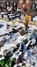 Захоронение ID 1351351