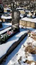 Захоронение ID 1351464