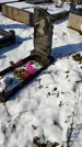 Захоронение ID 1351481