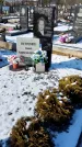 Захоронение ID 1351495