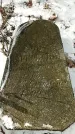 Захоронение ID 1351576