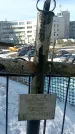 Захоронение ID 1351700