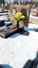 Захоронение ID 1351704