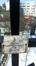 Захоронение ID 1351741
