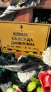 Захоронение ID 1351797