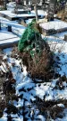 Захоронение ID 1351802