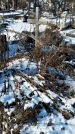 Захоронение ID 1351850