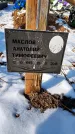 Захоронение ID 1351877