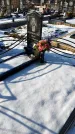 Захоронение ID 1351888